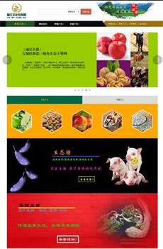 瀚數案例-麗江文化縣農特網(政府性質)